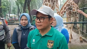cak imin ppn 12%