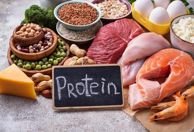 Menghitung Protein dalam Tubuh: Kebutuhan Nutrisi Harian