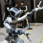 Robot Humanoid